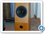 Cadence speaker amaya 1